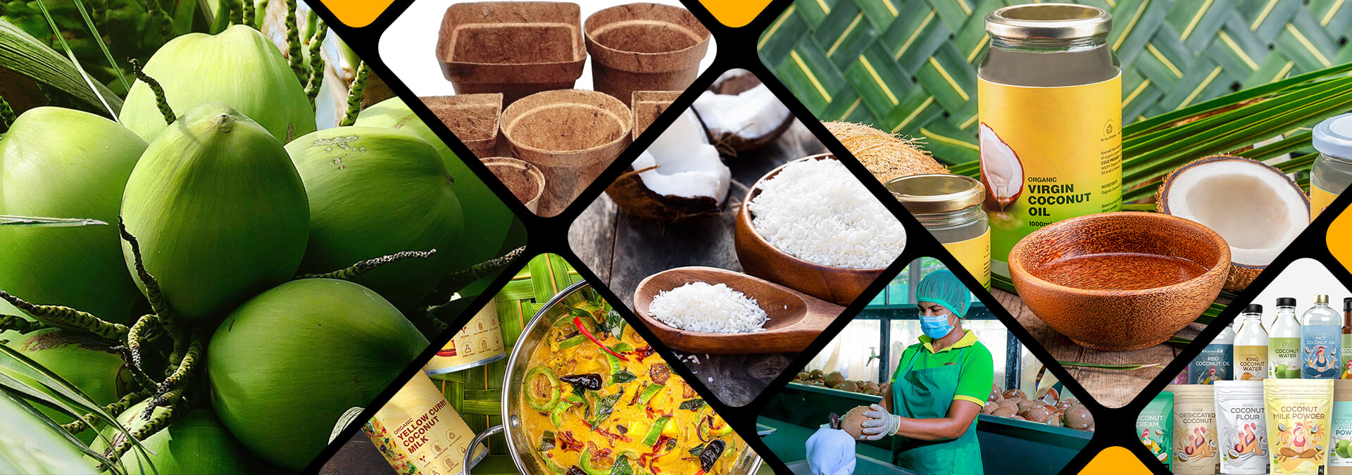 Coconut and Coconut based Products