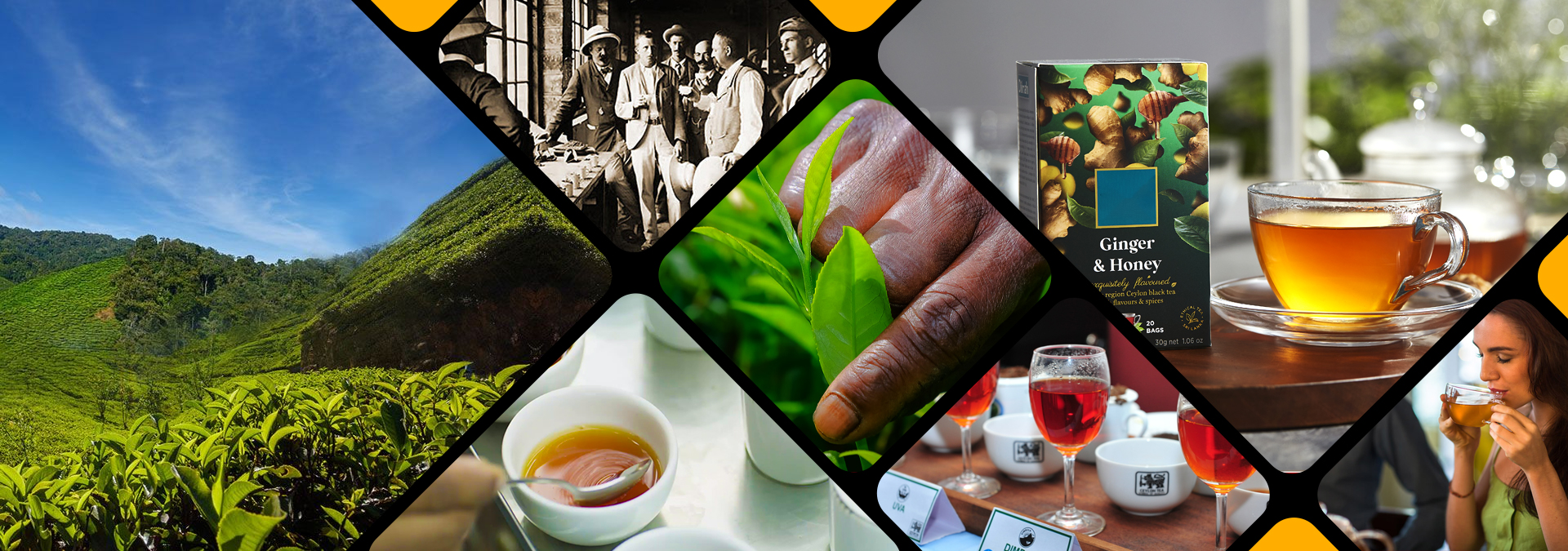 Coconut & Coconut based Products