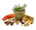 Ayurvedic & Herbal Products